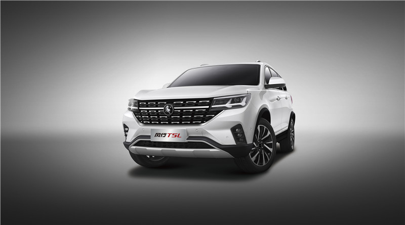 2023 Dongfeng Forthing AT T5L SUV 07