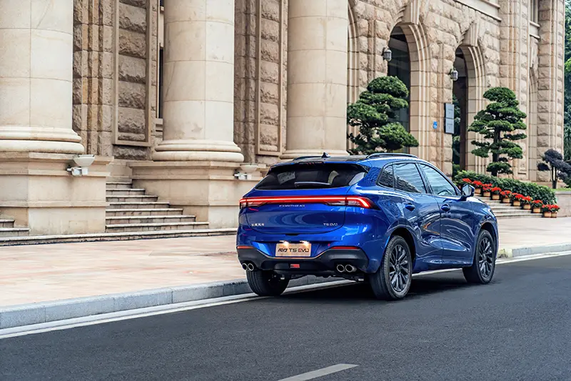 Dongfeng Forthing T5EVO 6